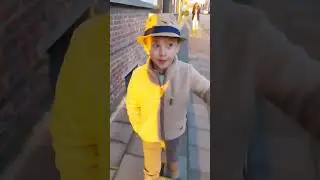 Beste straat van Wilrijk, de Sterrenlaan ⭐️
