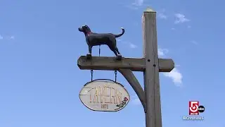The Black Dog: The story behind the beloved Massachusetts company