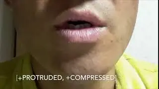 Phonological Features: Lip Compression and Protrusion