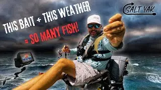 POURING RAIN Kayak Fishing Slam! Redfish &bull; Trout &bull; Snook &ndash; SW Florida Adventure