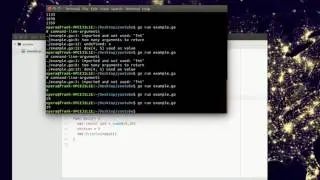 Learn Golang - Local variable, global variable, scope