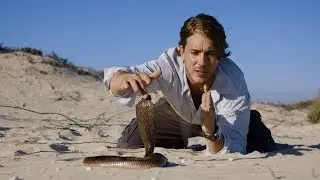 Kiss of Death On a Deadly African Cobra on The Beach