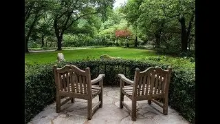 Towering Live Oaks and Ancient Cedars | 3712 Alice Circle