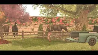 Paragon Dance Animations