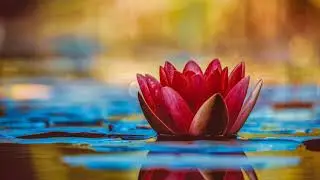 'Moody Swing' by Osh&oacute;va 🇫🇷 | Happy Summer Music