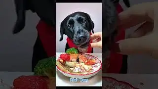 RICH DOG #ep07