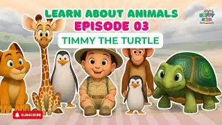 Timmy the Turtle | Learn About Animals for Kids | Episode 3