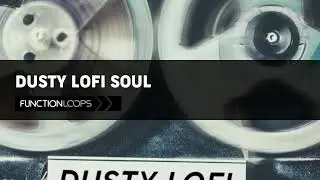 Function Loops - Dusty Lofi Soul