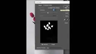 5 Amazing Editing Tips 🌸👍 | Adobe Photoshop | Adobe illustrator | TDC Designs | Shahzada Rizwan Ali