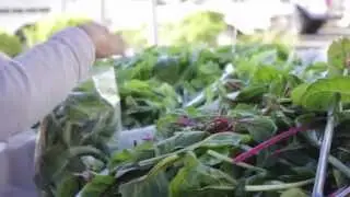 St Philip's Plaza Farmers' Market | Art Lounge Productions