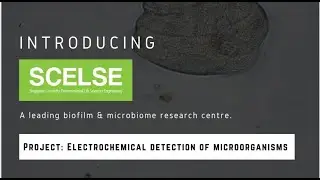 Electrochemical Detection of Microorganisms