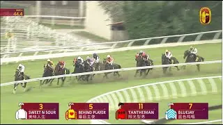20 DEC 2025 RACE 4