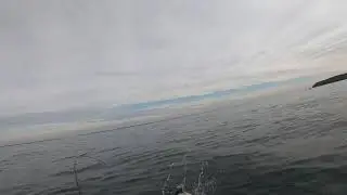 Kayak Albie Fishing in Long Island Sound