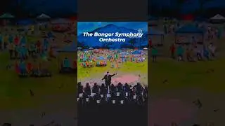 Catcha Vibe at Kingfield POPS