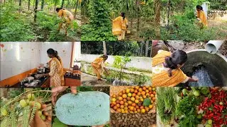 வேறென்ன வேறென்ன வேண்டும்/Colourful veggies harvesting at farm/Healthy breakfast cooking 