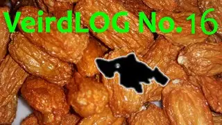 Preparing Powder, Saving Seeds | Hot chili peppers | VeirdLOG 16