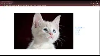 Web-Based Image Editor: Daoud Kassis