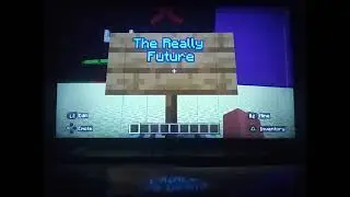David's 13th Minecraft video
