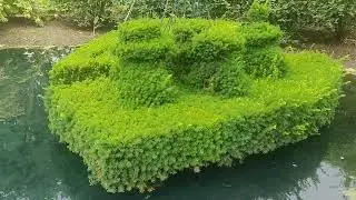 Enjoying Topiary Park In Columbus, Ohio