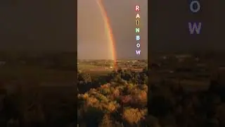 Catching the Rainbow in the Sky 🌈|  Chasing Rainbow #shorts #rain #sky