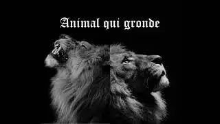 animal qui gronde   / auteur Substan'ciel