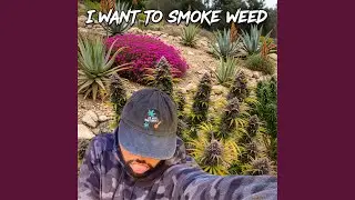 I want to smoke weed