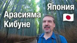 Япония 2025-06 ч4: Синкансэн, Кибуне и Арасияма