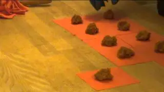 La Bottega della Gina a Verona