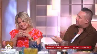 Séverine Ferrer et Faudel, une idylle oubliée ?