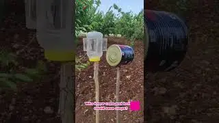 Creative Homemade Farm Tool   A Smart Crop Protector #simpletools