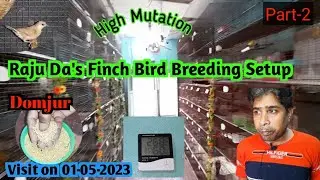 Bird Breeding Setup Visit at Domjur, Howrah| Raju Paul's Exotic&nbsp; Finch Breeding Farm- Part-2 #birds
