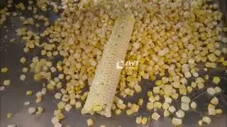 Bangladesh Bagged Corn Production Line Corn Sheller