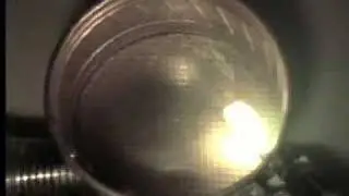 Surface Confined Hot Ignition Thermactor