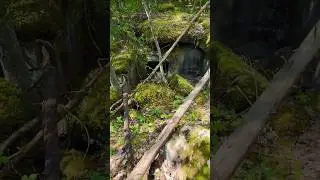 Metsiin unohdettua 17 #sonyxperia1v #nature #finland #ulkonaperill&auml; #urbex #retkeily