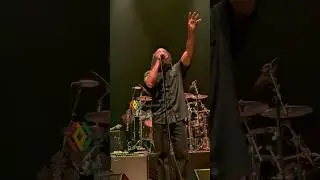 Ziggy Marley: Carrying the Torch &mdash; The Legacy of a Lion&rdquo;
