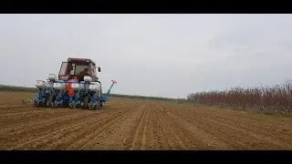 Fiat 70-66 NG PLUS 4 MONOSEM Green peas plant Greece 2021