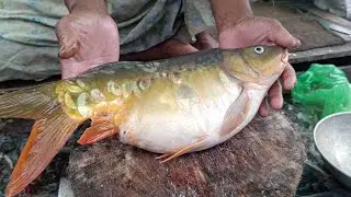 Expert Fish Cutting Video | Fresh Fish Cleaning with Fast Hands & Perfect Cutting Technique