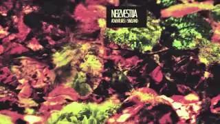Neizvestija --&nbsp;Sineland Revisited