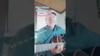 Teton Guitars  - the Parlor series.