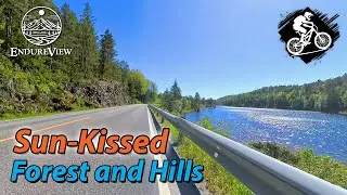 Virtual Biking | Sun-Kissed Forest and Fast Hills