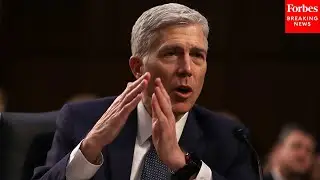 'Help Me Out&mdash;Why?': Gorsuch Grills Lawyer Over His 'Lead Argument' In Title IX Case