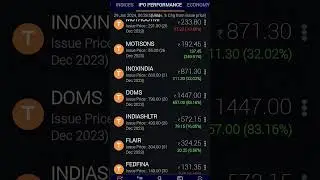 IPO PERFORMANCE  ( 2023  / 2024 )