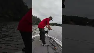 Smith lake topwater and damiki fish all in one !!