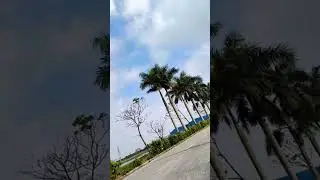 TuanNguyen  đang ph&aacute;t trực tiếp!