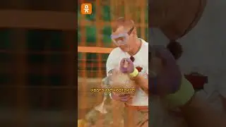 Смотрите шоу &laquo;Парниковый эффект&raquo; эксклюзивно в ОК🧡  #шоу #юмор  #ок
