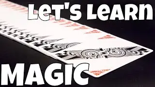 Let's Learn Magic Together!