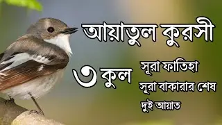 ৩ কুল, আয়াতুল কুরসী, সূরা ফাতিহা ও সূরা বাকারার শেষ দুই আয়াত | Reciter By Ayoub Mosab