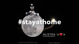Stay at Home | ALISTEA