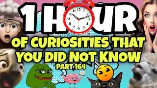 1 HOUR OF CURIOSITIES AND THINGS YOU DIDN’T KNOW 🧠⏰ #164