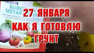 27 января.  Как я готовлю грунт для посадок